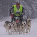 Nasz patronat: VII Husqvarna Tour 2013 – rekordowe wycigi psich zaprzgw!