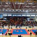 IX Puchar Europy w Taekwon-do Sibiu 2018