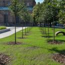Nowa zielona przestrze we Wrocawiu - na tyach Muzeum Architektury