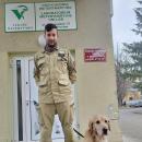  Lekarze z UPWr lecz psa ratownika, ktry wrci z Turcji