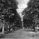 Historia miasta: Ulica zaoyciela Strzelina