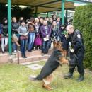 O współpracy policji z psami 
