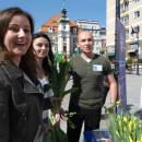 Rozdaj te tulipany w wito Unii Europejskiej