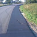 Zrolowany asfalt