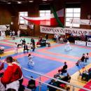 Europejski Puchar Miedzi w Karate Legnica 