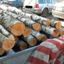 Zatrzymani na kradziey drewna z lasu 