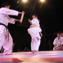 Wysoki poziom Mistrzostw Europy Karate Kyokushin 