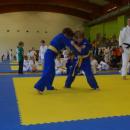IV laskie Mistrzostwa w Judo