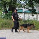  Zawody kynologiczne psów służbowych na Dolnym Śląsku