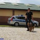  Zawody kynologiczne psów służbowych na Dolnym Śląsku