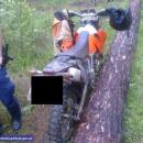 Wysoka grzywna za wjazd motocyklem do lasu