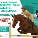 Wrocławskie Partynice - Międzynarodowe Mistrzostwa Polski w Jeździe Bez Ogłowia
