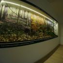 „H2OLAS” – wystawa Lasów Państwowych w Hydropolis