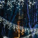 Światłogród powraca - od 3 grudnia w Ogrodzie Botanicznym Uniwersytetu Wrocławskiego
