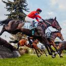 Inauguracja sezonu wyścigów konnych na Partynicach