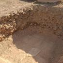 Archeozoologowie UPWr dowiedli, że już Rzymianie hodowali małe buldogi 