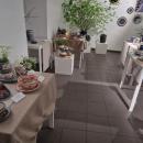 Wystawa ceramiki w Instytucie Polskim w Wiedniu